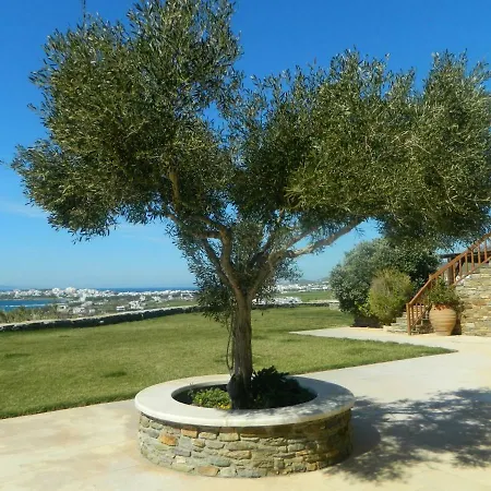 Bed & Breakfast Grace Tinos